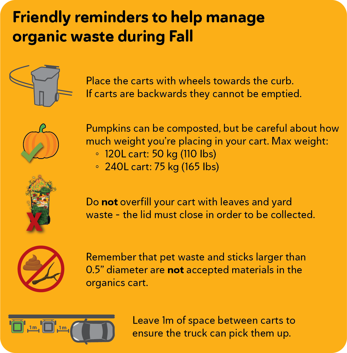 Tips to help manage organic waste during Fall