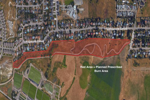 Area where the Longacre prescribed burn will take place