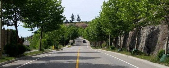 Turtle Mountain Landscape FULL