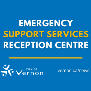 Emergency Support Services