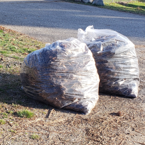 Spring leaf pick-up program coming soon!