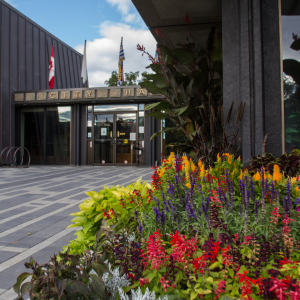 Picture of city hall entrance