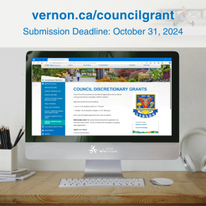 Council discretionary grants
