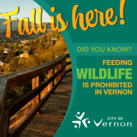 Fall is here... did you know feeding wildlife is prohibited in Vernon, BC