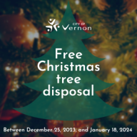 Christmas tree disposal program