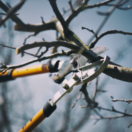 2024 spring chipping program