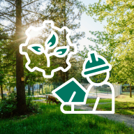image of a forest with a sustainability icon overlayed